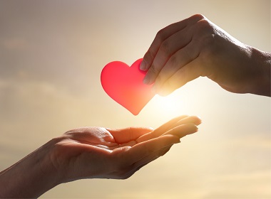 Orientação Amorosa